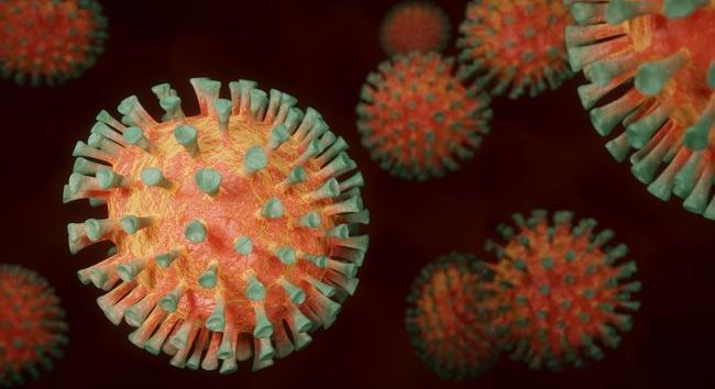Megérkeztek a legfrissebb számok: Ismét emelkedett a beazonosított koronavírus-fertőzöttek száma Magyarországon