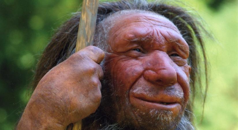 Nem tettek jót a mágneses pólusok a neandervölgyiekkel