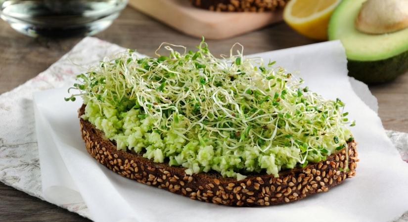 Tarkítsd kis zöld hajtásokkal a tányérod: ezt az 5 dolog tartsd be, ha otthon csíráztatsz