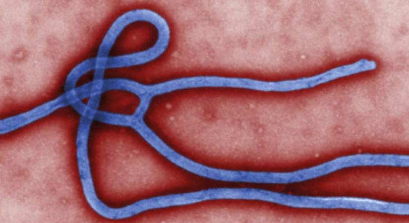 Ismét ebolajárvány fenyeget