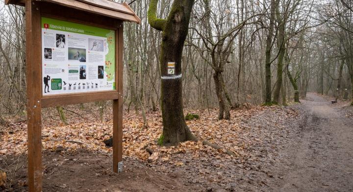 Ezer kilométeres tanösvény-hálózat várja a kirándulókat Magyarország nemzeti parkjaiban