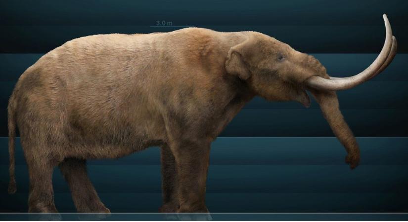 Nem az ember okozhatta Észak-Amerika jégkori megafaunája kihalását