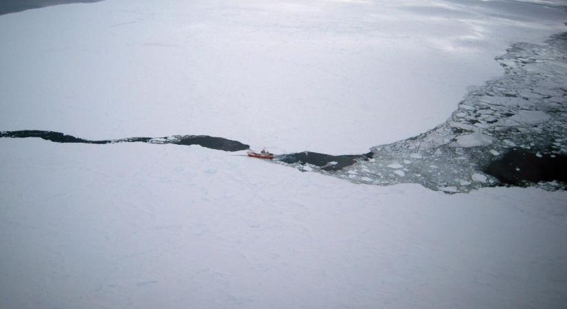 Különös teremtmények bukkantak elő az antarktiszi selfjég alól