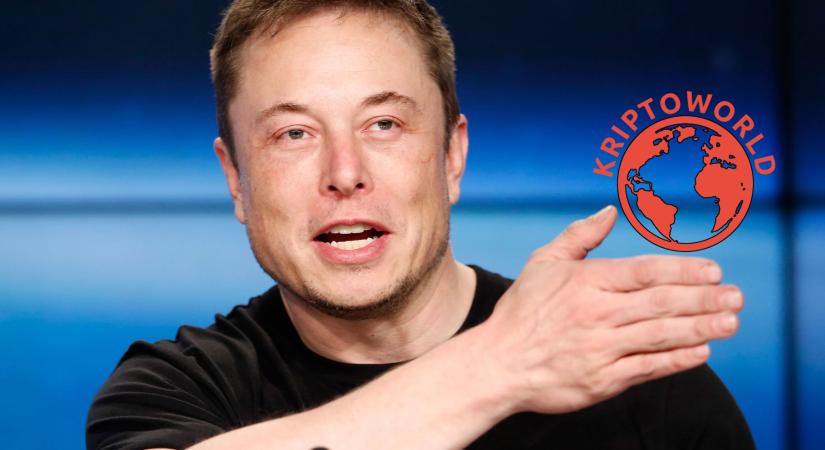 Elon Musk: „Bolondság” kihagyni a nem fiat befektetéseket