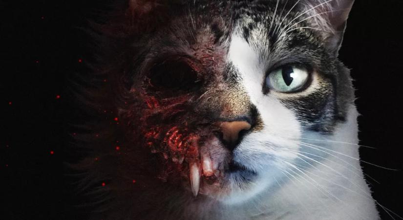 Demót kapott egy horrorjáték, amelyben… egy cicát kell irányítani, aki az anyukáját keresi