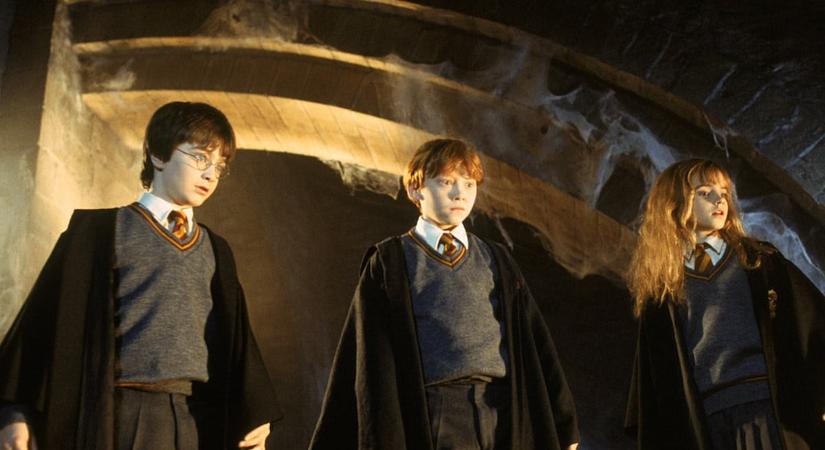 A Harry Potter és a bölcsek köve egyik legmeghatóbb jelenete egy allergiás reakció következménye