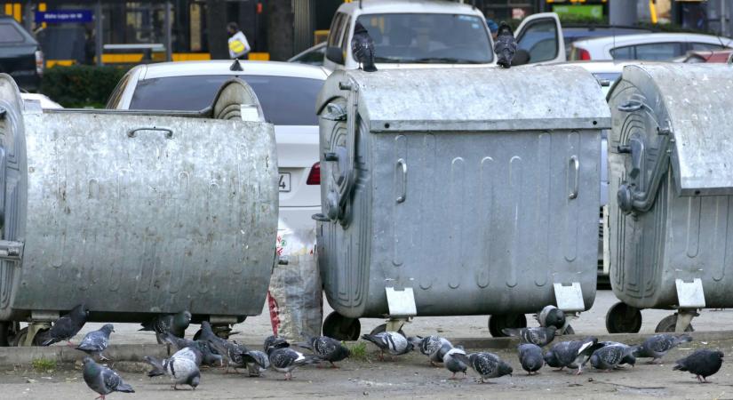 Új fejezet indulhat a hazai hulladékgazdálkodásban a hétfői parlamenti döntéssel