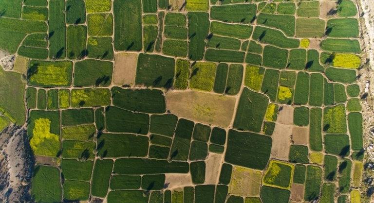 Tényleg rendeződhet több millió hektár magyar föld sorsa? Itt a szakértői vélemény