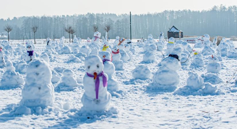 Ezer hóembert építettek egy lengyel tó partjára, hogy egy szívbeteg gyereknek segítsenek