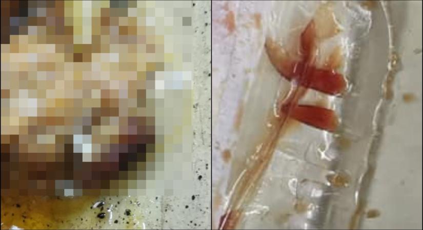 Sokkolta a netezőket a nyíregyházi horror hús