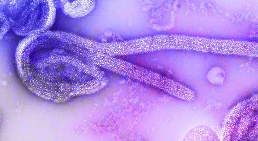 Por- és homokvihar miatt késett a Guineába érkező ebola elleni védőoltás