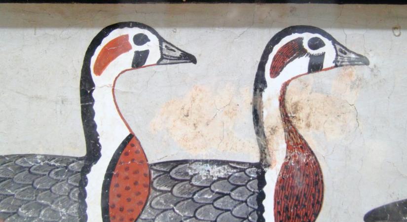Kihalt lúdfajt azonosítottak egy 4600 éves egyiptomi falfestményen