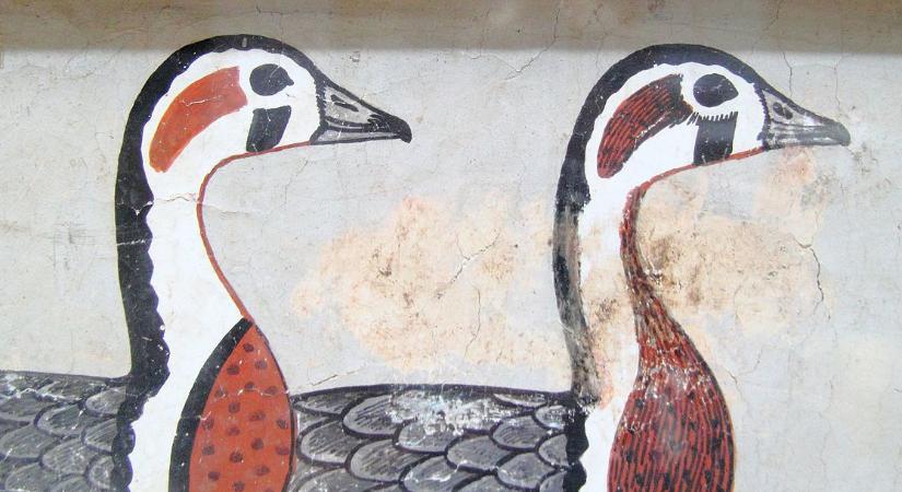 Kihalt madárfajt ábrázol egy 4600 éves egyiptomi festmény