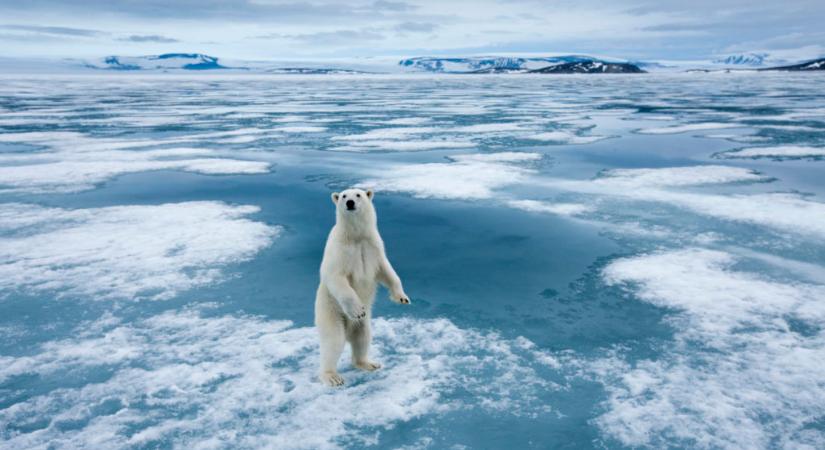 Meglepő következménye van az északi-sarki jég olvadásának
