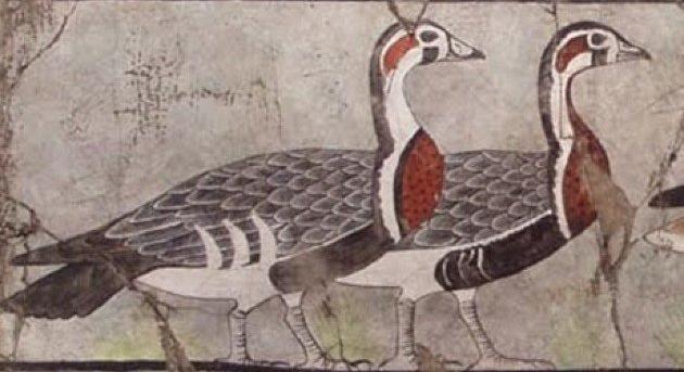 Mára kihalt lúdfajt ábrázol egy 4600 éves egyiptomi festmény