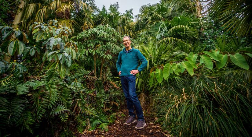 30 év alatt ősersőt csinált kertjéből egy férfi - Fotón a magándzsungel