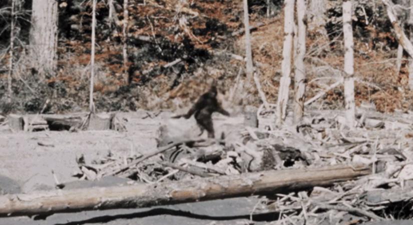 Hátborzongató találkozása volt a tinédzsernek Bigfoottal - Így nézett ki a félelmetes erdei lény
