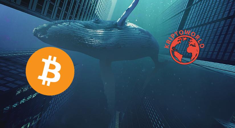Glassnode: 140 ezer bitcoint adtak el februárban a bálnák