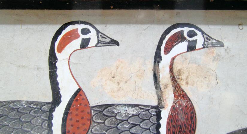 Kihalt lúdfajt találtak az egyik leghíresebb egyiptomi festményen