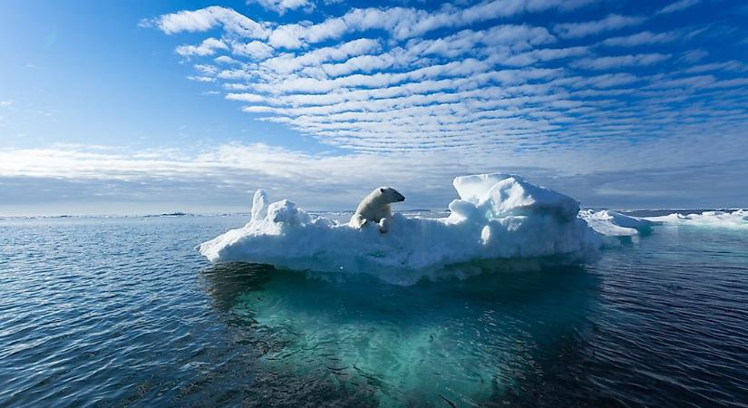 Olvadó jéghegyeket utánzó betűtípussal igyekeznek felhívni a világ figyelmét a jégolvadás tragédiájára