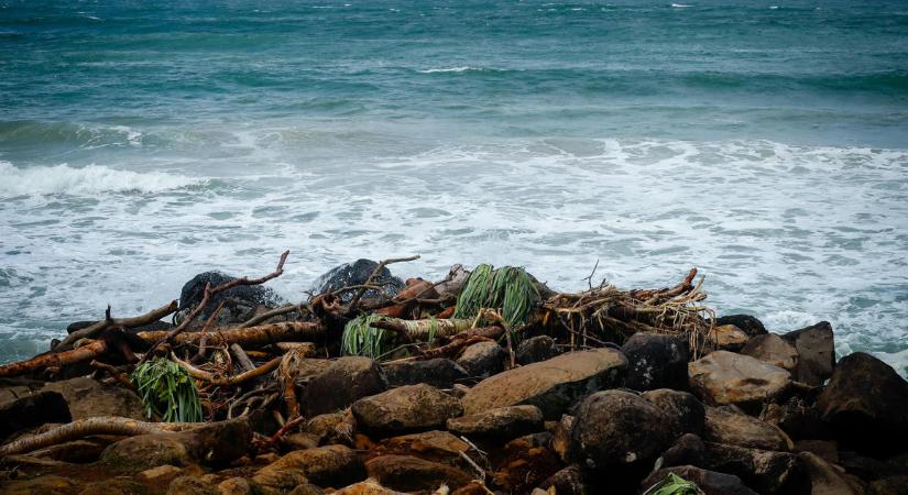 Az óceánparton került elő az eltűnt, csalással vádolt pénzügyi tanácsadó egyik lába Ausztráliában