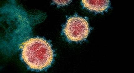Ausztriában a fertőzések több mint felét már a vírusmutációk okozzák