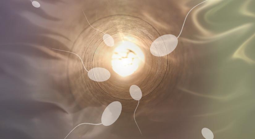 A férfiak spermiumszámának romlása nagyobb gond, mint a klímaváltozás