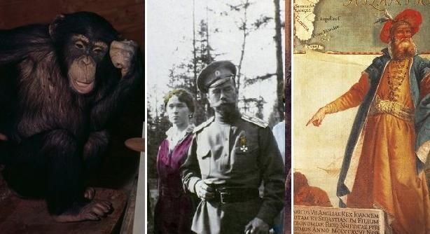 Az avantgárd csimpánztól a bujkáló skót királyig – ezek voltak a hét legizgalmasabb cikkei