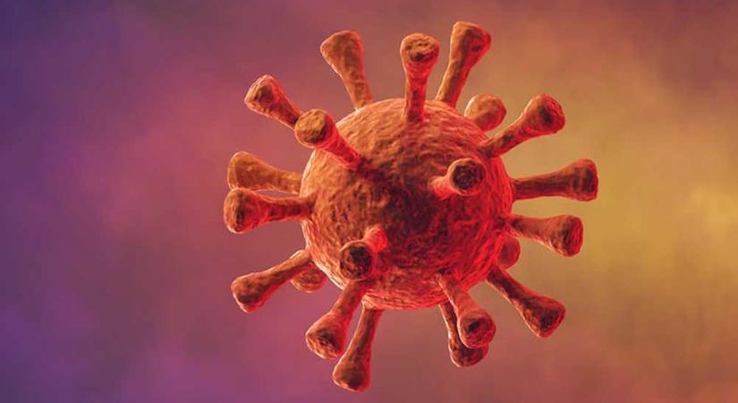 A dél-afrikai koronavírus-variáns már hazánkban is megjelent