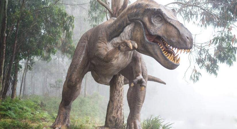 Újabb bizonyítékokkal támasztották alá a dinoszauruszok kihalásának elméletét