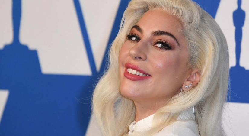 Megtalálták Lady Gaga elrabolt kedvenceit