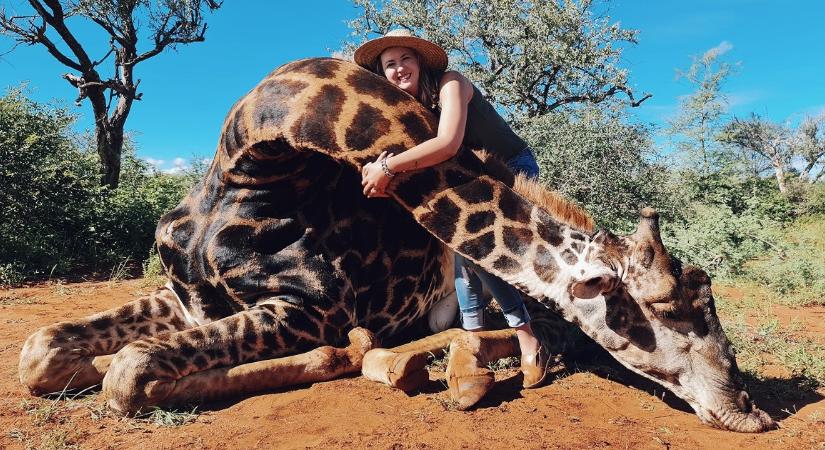 Zsiráfvadászatot kapott Valentin-napra, le is lőtt egy zsiráfbikát, majd a kivágott szívével pózolt
