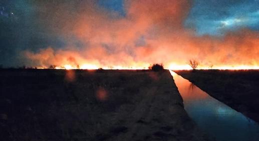 Eloltották a balatoni nádtüzet, 120 hektáron leégett a berek