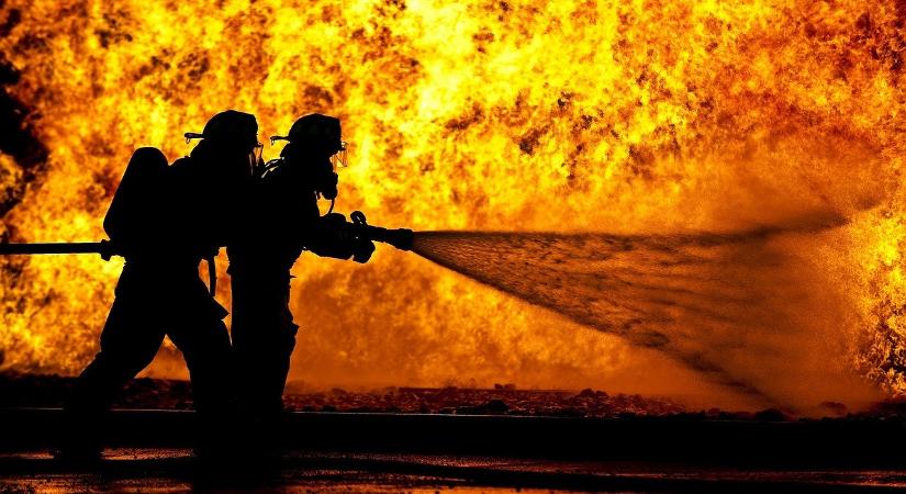 Több mint százötven malac pusztult el egy tűzben Munkácson