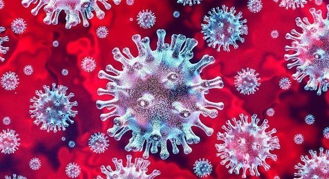 A koronavírus-fertőzöttek száma már több mint 113,7 millió a világon