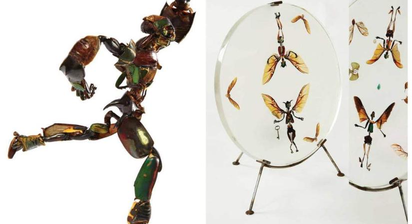 Kitinből és ízelt lábakból épít rovarszobrokat a magyar képzőművész
