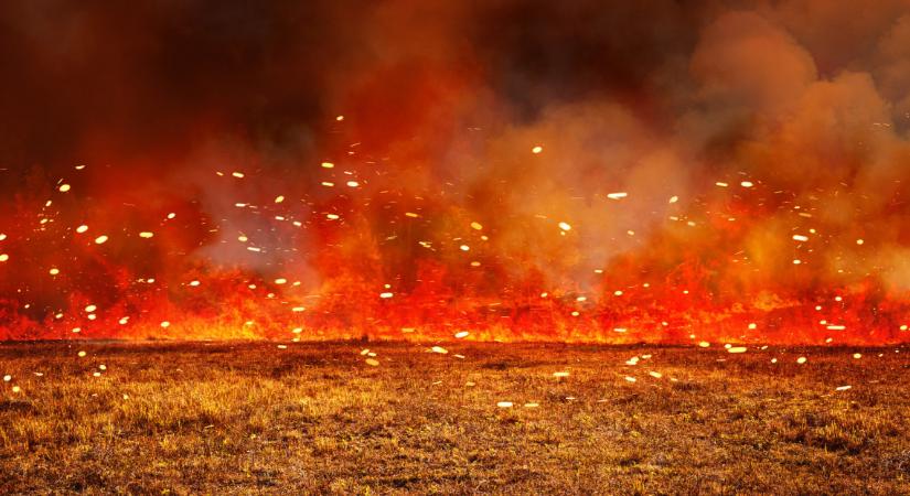 Borzalmas pusztítás: hatalmas területen égett le a balatoni nádas