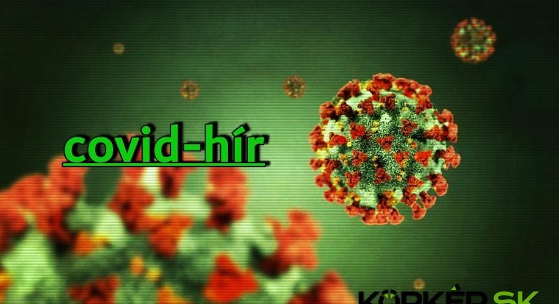 Koronavírus Magyarországon: 72 halott, 4469 új vírusfertőzött, 27 630 PCR tesztelés