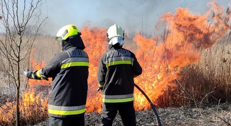 Tíz hektáron égett a nádas Kistelek közelében