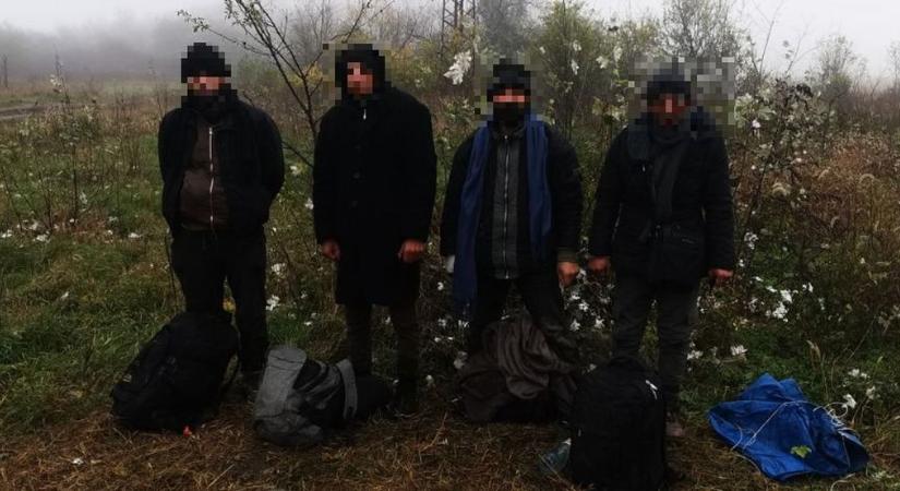 Szeged és Makó területén is tartóztattak fel migránsokat