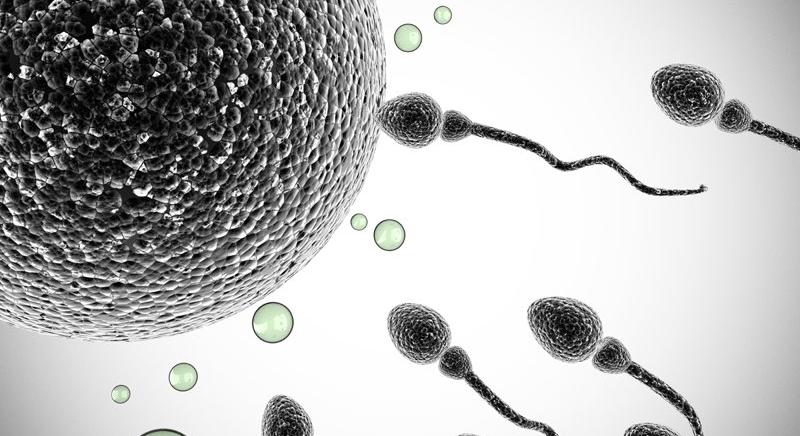 Veszélybe kerülhet az emberi élet: aggasztó kutatási eredmények a spermáról