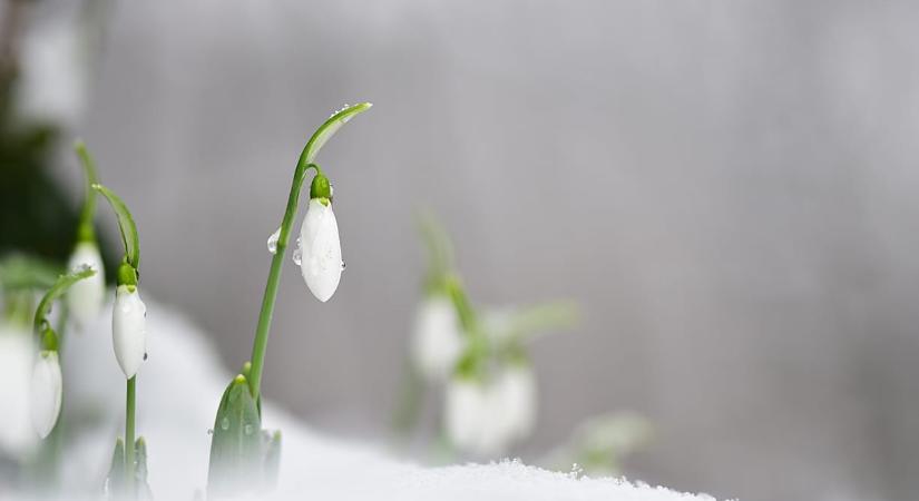 Napos idővel indul a március, de hétvégére eső és hó is várható Nógrádban