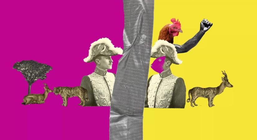 Februári hoaxkvíz: Teszteld magad, bedőlsz-e az álhíreknek!