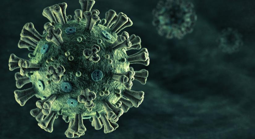 Koronavírus: rossz hírt közölt a WHO a járvány terjedéséről