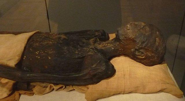Új részleteket árul el az ókori egyiptomi mumifikálásról egy 3500 éves „kézikönyv”