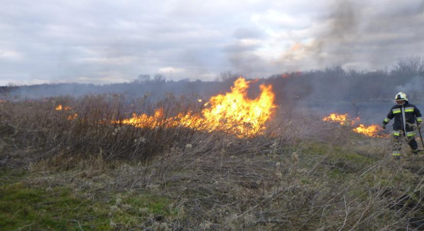15 szabadtéri tűzeset történt a hétvégén Somogyban