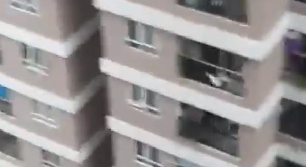 Kizuhant egy vietnámi kislány a 12. emeletről, de egy férfi elkapta - videó