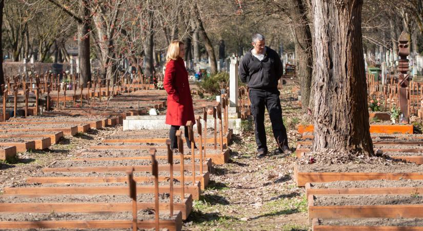 Hatszáz közköltséges sírhelyet tettek rendbe a Debreceni Köztemetőben
