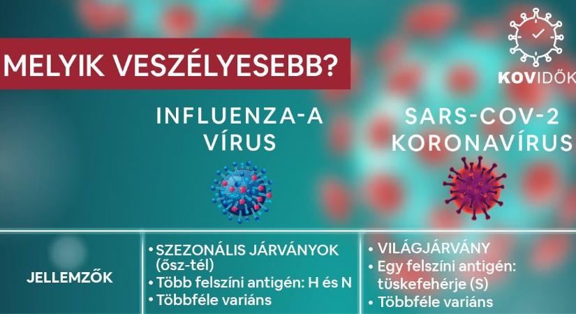 Igaz-e az állítás, hogy a koronavírus-fertőzés nem veszélyesebb, mint az influenza?