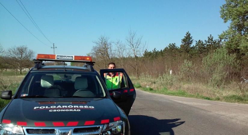 Így segítenek a polgárőrök Csongrád környékén a veszélyhelyzet alatt